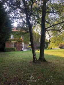 Vente Maison 7 pièces MONCHEAUX 59283
