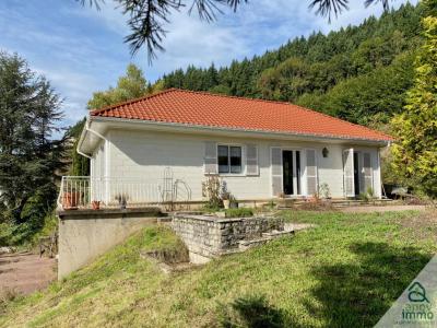 Vente Maison 7 pièces TARARE 69170