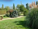 Acheter Maison 194 m2 Decines-charpieu