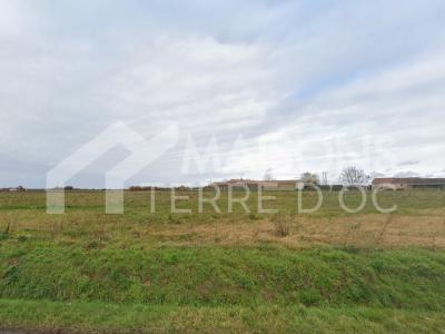 Vente Terrain FRONTON  31