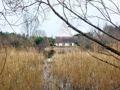 Vente Maison 4 pièces MONTRIEUX-EN-SOLOGNE 41210
