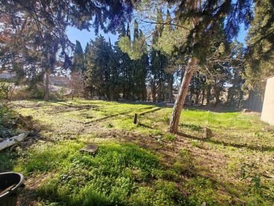 photo For sale Land FERRAN 11