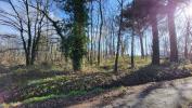 Annonce Vente Terrain Leches