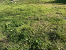 Land ANIANE 
