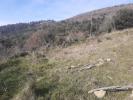 Land SOUGRAIGNE 