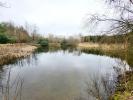 Annonce Vente 4 pièces Maison Montrieux-en-sologne