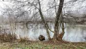Land SAINT-VICTOR-DE-MORESTEL 