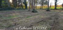 Land SAINT-SAVIN 