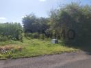 Vente Terrain Anse-bertrand 971