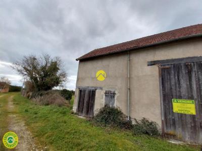 photo For sale House SANCOINS 18