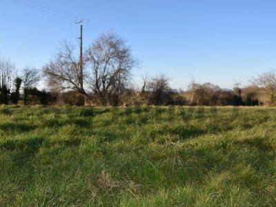 Vente Terrain FAUCH 81120