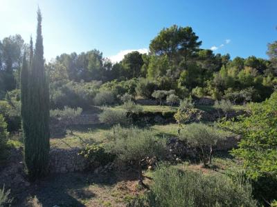 Vente Maison COTIGNAC 