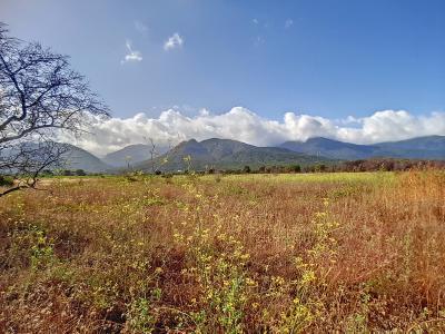 For sale Land SAINT-ANDRE  66