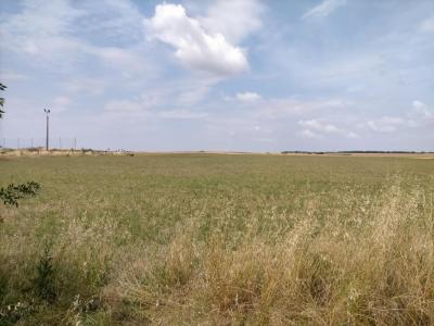 photo For sale Land SAINT-AGNANT 17