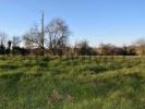 Vente Terrain Fauch 81