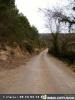 Land  CAMPAGNE