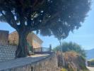 House TAVACO 