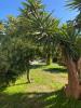 Acheter Maison 98 m2 Lespignan