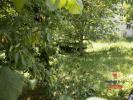 Vente Terrain Mouthier-haute-pierre 25