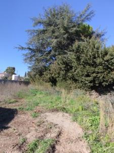 Vente Terrain COURNONTERRAL 34660