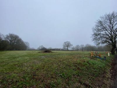 photo For sale Land FENEU 49