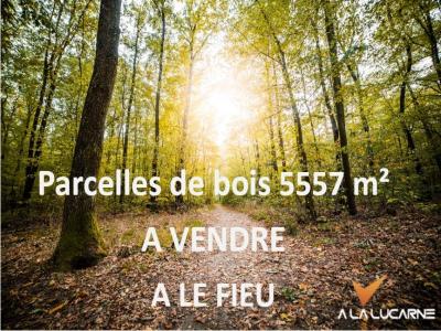 photo For sale Land FIEU 33