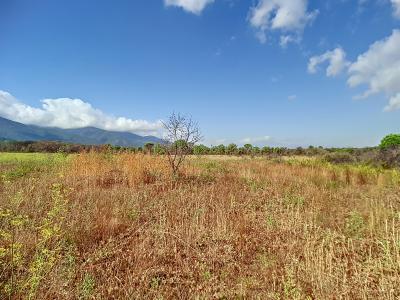 For sale Land SAINT-ANDRE  66