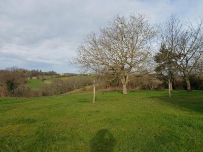 Vente Maison SARRAGUZAN 