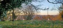 Acheter Terrain 4812 m2 Fontenay-le-comte