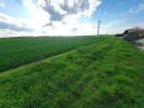 Land NEUVILLE-DE-POITOU 