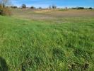 Land MIREBEAU 