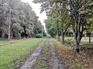 Annonce Vente 12 pièces Maison Termes-d'armagnac