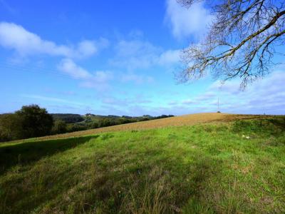 For sale House PESSAN 
