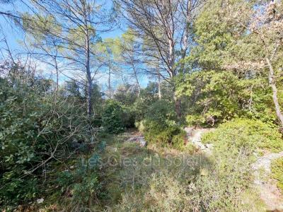 For sale Land CAMPS-LA-SOURCE  83