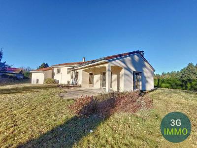 photo For sale House SAINT-PAL-DE-MONS 43