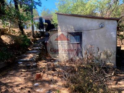 photo For sale House FEUILLA 11