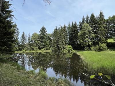 photo For sale Prestigious house MOISSANNES 87
