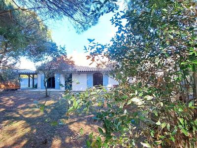 photo For sale House SAINTES-MARIES-DE-LA-MER 13