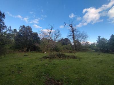 photo For sale Land QUENZA 20