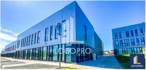 Location Bureau MARSEILLE-13EME-ARRONDISSEMENT 13013
