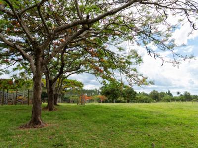 Vente Maison 4 pièces SAINT-SELVE 33650