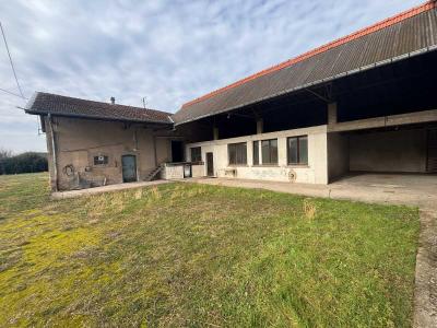 Vente Maison LUNEVILLE  54