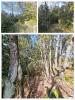 Land CAMPS-LA-SOURCE 