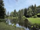 For sale Prestigious house Moissannes  87400