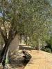 Annonce Vente 7 pièces Maison Mougins