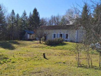 photo For sale House NEGRONDES 24