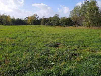 photo For sale Land SAINT-CIERS-SUR-GIRONDE 33