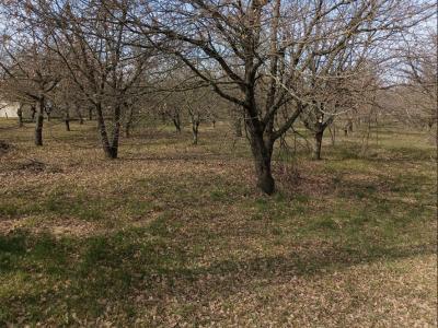For sale House MARGES 