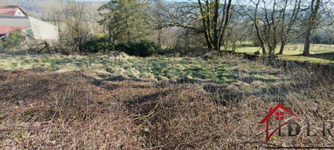 Vente Terrain HARREVILLE-LES-CHANTEURS 52150