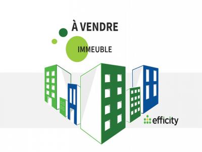 Vente Immeuble SOUFFLENHEIM  67